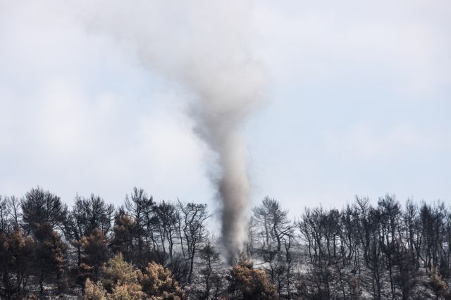 Φωτιά σε δύσβατο σημείο στην Κέρκυρα