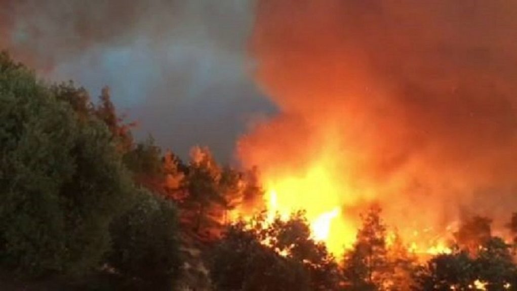 Φωτιά στην Κακή Βίγλα Σαλαμίνας – προληπτική εκκένωση του οικισμού