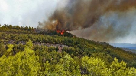 Πυρκαγιά σε δύσβατο σημείο στις Καρυές Σαμοθράκης