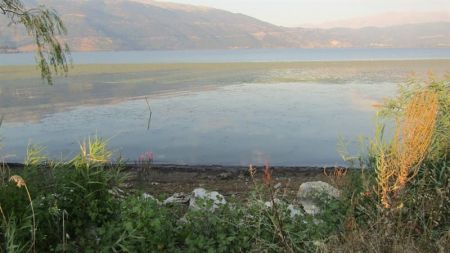 Παμβώτιδα: τα νερά της υποχωρούν και αναδεικνύουν άλλες όψεις της (εικόνες)