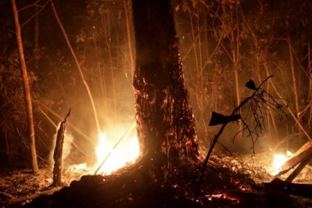 Αμαζόνιος: Ποιες οι αιτίες των καταστροφικών πυρκαγιών