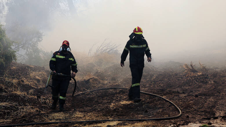 Στα ίχνη εμπρηστή η Πυροσβεστική για τις φωτιές σε Βάρδα και Μανωλάδα Ηλείας
