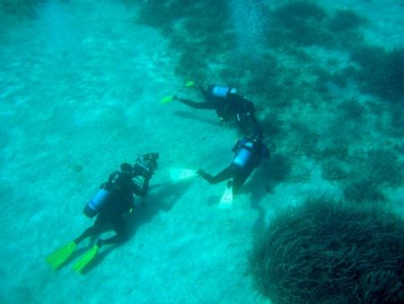 Τραγωδία στην Κάρπαθο : Τα μοιραία λάθη των δύο δυτών – Πως γλίτωσε ο τρίτος