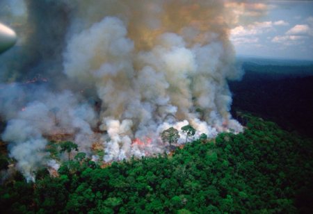 Βραζιλία : Υπό τη διεθνή πίεση αναλαμβάνει δράση για τις πυρκαγιές στον Αμαζόνιο