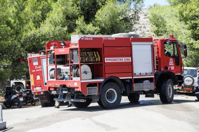 Πυρκαγιά σε δασική έκταση στην Πρέβεζα – Δεν απειλούνται σπίτια | tovima.gr