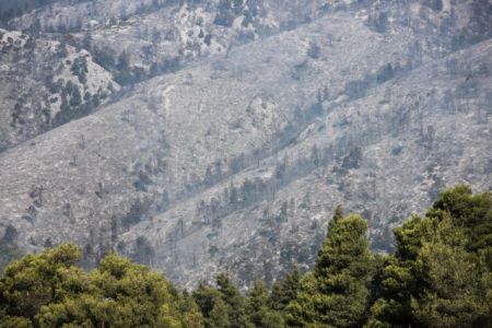 Φωτιά στην Εύβοια -Βίντεο : Εικόνες απόλυτης καταστροφής