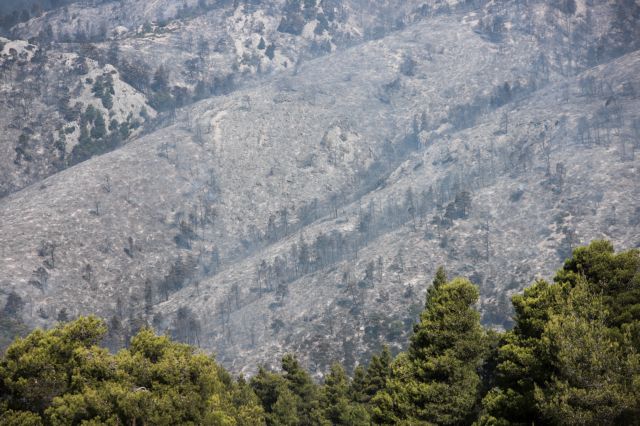 Φωτιά στην Εύβοια -Βίντεο : Εικόνες απόλυτης καταστροφής