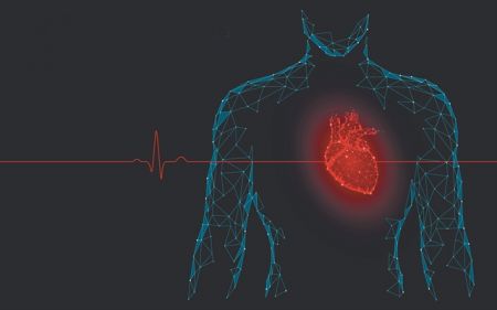 Εκτυπωμένη καρδιά με φυσικά υλικά