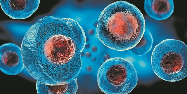 Η αθανασία των βλαστικών κυττάρων