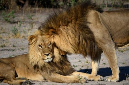 Οι τουρίστες βοηθούν την έρευνα της βιοποικιλότητας