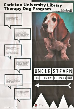 Βιβλιοθήκες 2019: «We will survive!»