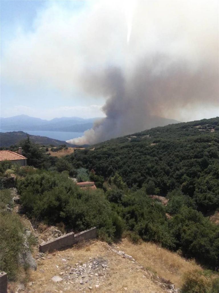 Σε ύφεση η πυρκαγιά στη Φωκίδα – Εκτός κινδύνου τα χωριά Κλήμα και Μαγούλα