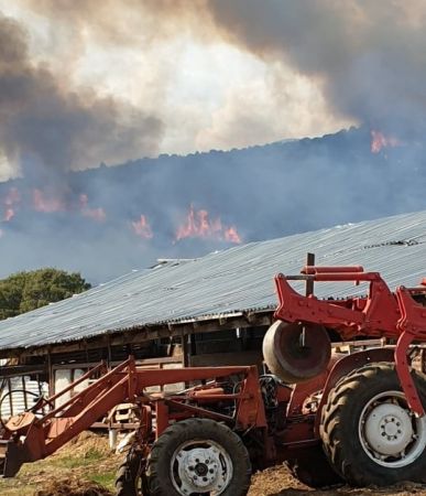 Φωτιά στα Λεύκαρα Κοζάνης