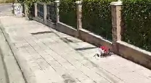 Αίγιο : Θετικός στο αλκοτέστ ο 28χρονος οδηγός που σκότωσε γιαγιά και εγγόνι