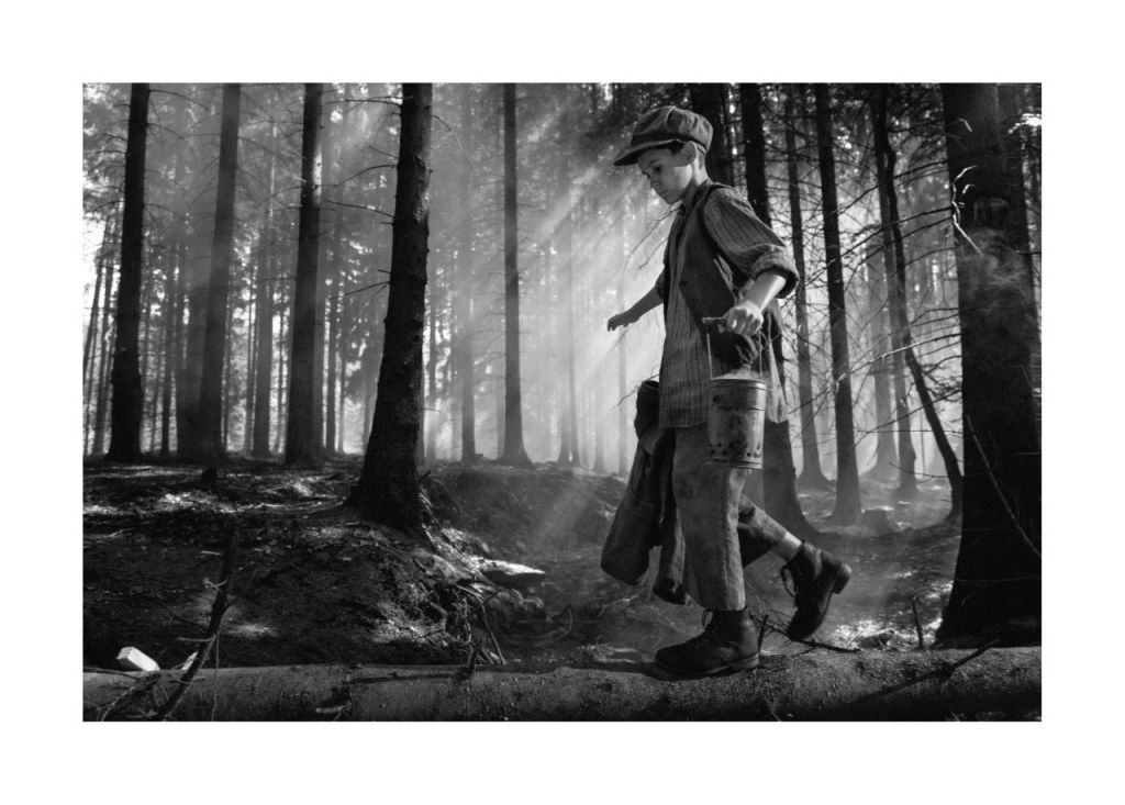 76ο Φεστιβάλ Βενετίας : Τσεχική έκπληξη – Σοκ και θαυμασμός για το «Βαμμένο πουλί»