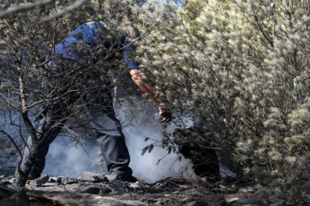 Νέα Μάκρη – πυρκαγιά: Η Πυροσβεστική μιλά για εμπρησμό