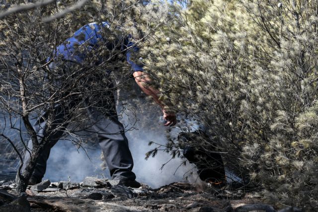 Νέα Μάκρη – πυρκαγιά: Η Πυροσβεστική μιλά για εμπρησμό