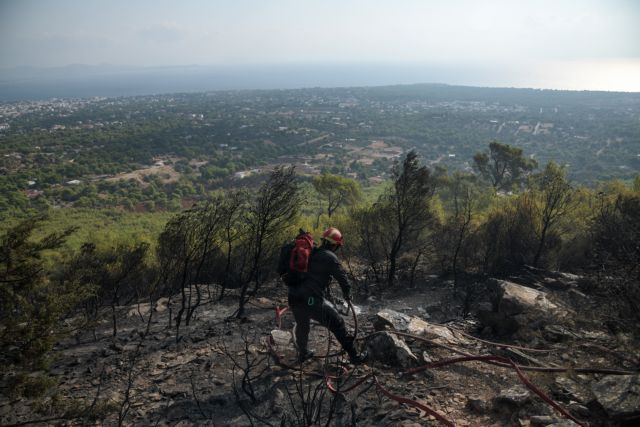 Νέα Μάκρη – πυρκαγιά: Διακοπή κυκλοφορίας των οχημάτων