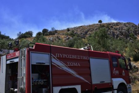 Πύρινο μέτωπο και στο Δομοκό : Καίει δασική έκταση – Δύσκολη η πρόσβαση