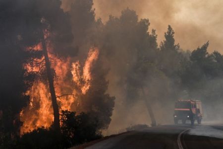 Φωτιά στην Κάρυστο : Δεν απειλούνται κατοικίες