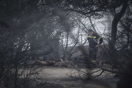 Μάτι: Ψηφίζεται την Τετάρτη η πράξη νομοθετικού περιεχομένου για τους πληγέντες