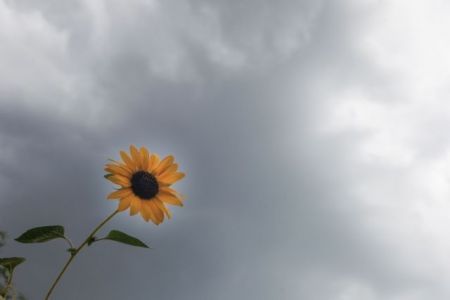 Καιρός: Πού αναμένονται βροχές, καταιγίδες και χαλάζι