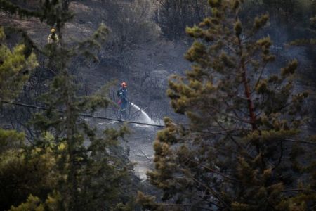 Σε ύφεση τα πύρινα μέτωπα – Τραγωδία στην Ηλεία με έναν νεκρό