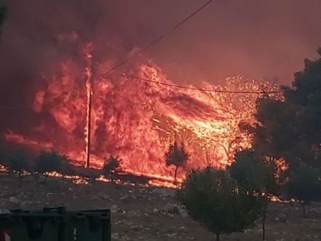 Συγκλονιστικά βίντεο από τη Ζάκυνθο: Οι φλόγες «γλείφουν» τα σπίτια