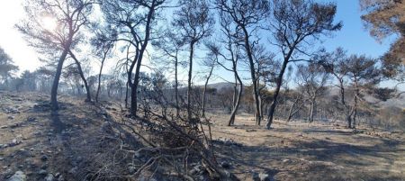 Πυρκαγιά στη Ζάκυνθο: Εικόνες απόλυτης καταστροφής στο Κερί