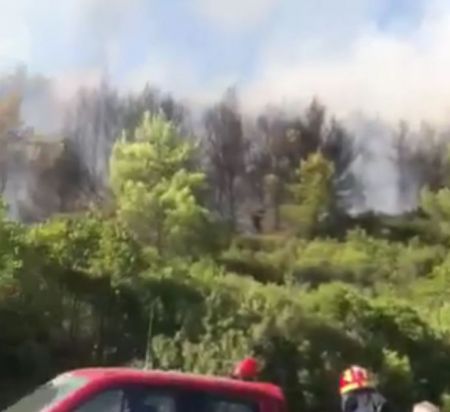 Σε ύφεση η φωτιά στις Μαριές Ζακύνθου