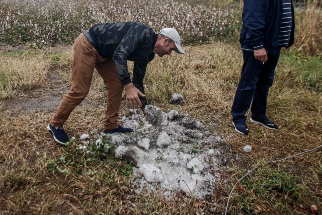 Αντιπεριφερειάρχης Τρικάλων στο One Channel: Ολική καταστροφή σε καλλιέργειες από τη χαλαζόπτωση
