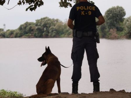 Αστυνομικός σκύλος «ξετρύπωσε» ναρκωτικά από στάβλο