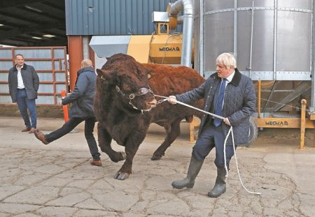 Παιχνίδια Τζόνσον με το Σύνταγμα και την Ευρώπη