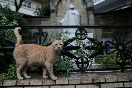 Καιρός: Βροχές και καταιγίδες την Τετάρτη