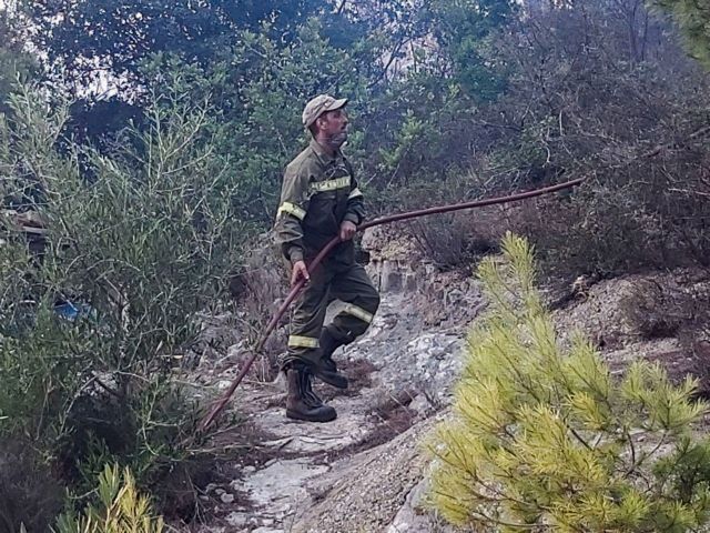 Κρυονέρι: Τροαχαίο προκάλεσε το θάνατο του οδηγού και την πυργαγιά