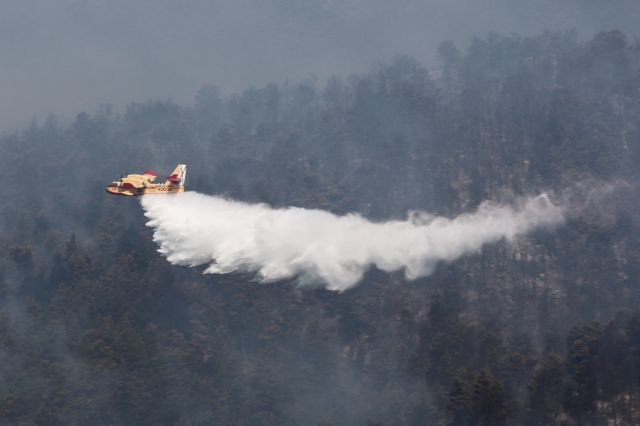 Εύβοια: Φωτιά σε δασική έκταση – Συναγερμός στην πυροσβεστική
