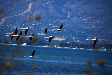 Καιρός: Ζεστός ο καιρός και τη Δευτέρα