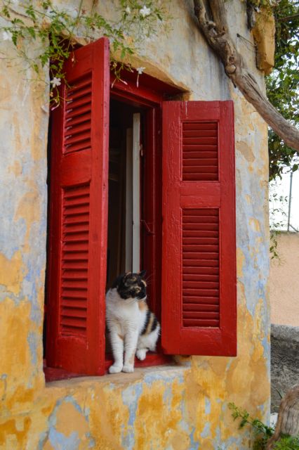 Αλλάζουν από σήμερα, 1η Οκτωβρίου, οι ώρες κοινής ησυχίας
