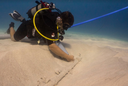 Μαγιόρκα: Ναυάγιο χιλιάδων ετών ανακαλύφθηκε σε εξαιρετική κατάσταση