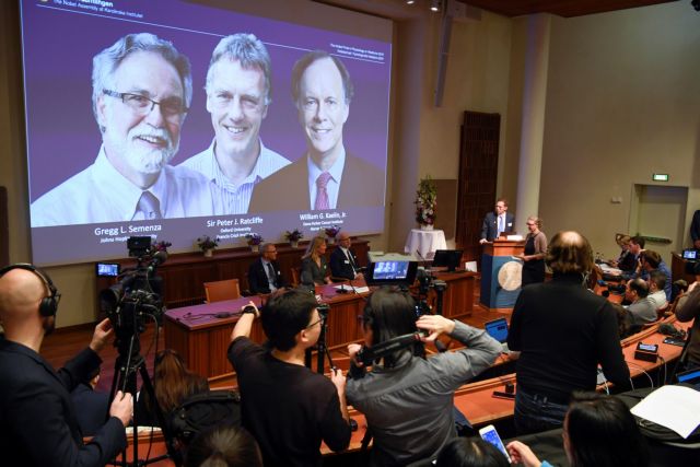 Νόμπελ Ιατρικής 2019 : Η πρωτοπόρα έρευνα για τη σχέση κυττάρων – οξυγόνου στο ανθρώπινο σώμα