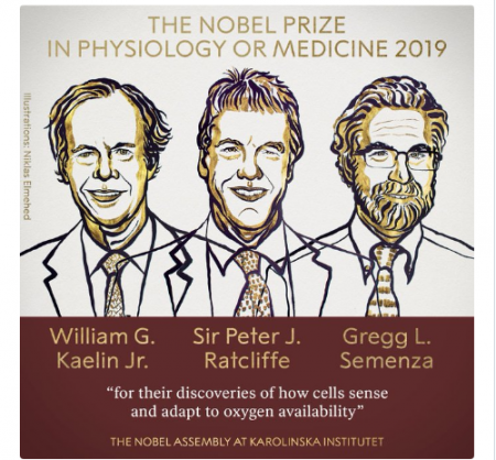 Σε τρεις ερευνητές το Νόμπελ Ιατρικής 2019