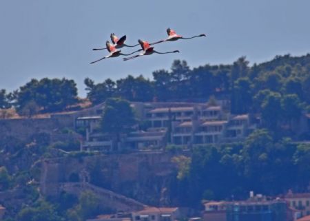 Καιρός : Ηλιοφάνεια και άνεμοι την Κυριακή