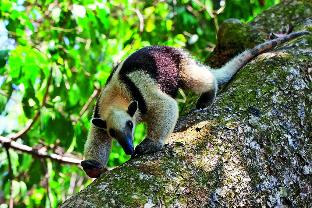 Ταξίδια σε οικολογικούς παραδείσους