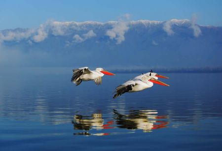 Λίμνη Κερκίνη