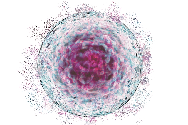 Θεραπευτική κοσμογονία