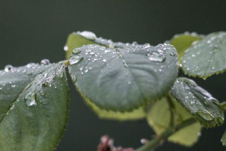 Καιρός : Βροχές και καταιγίδες