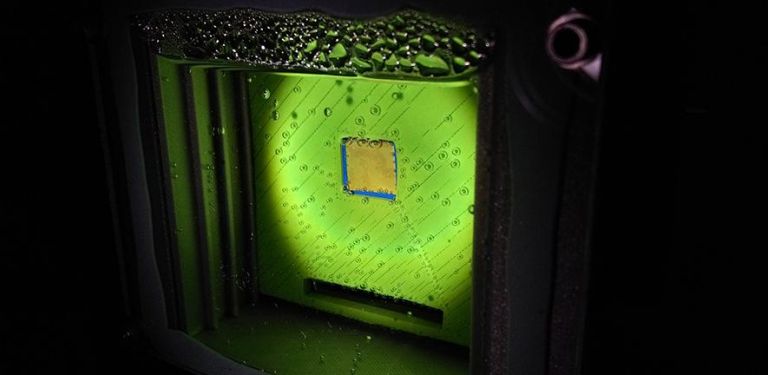 Καύσιμα : Κάν’ το όπως τα φύλλα! | tovima.gr