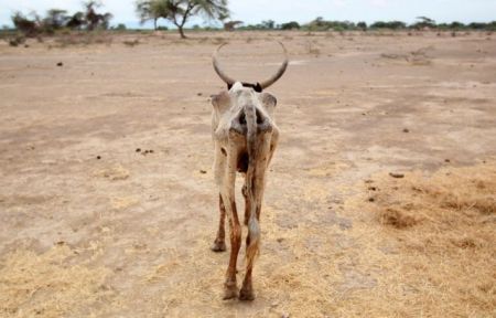 ΟΗΕ : Η ξηρασία απειλεί 45 εκατομμύρια ανθρώπους