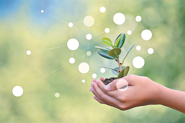 Οι υπεύθυνες επιχειρήσεις   εν δράσει