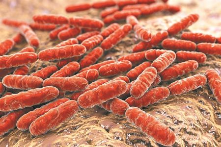 Στριπτίζ… επιβίωσης